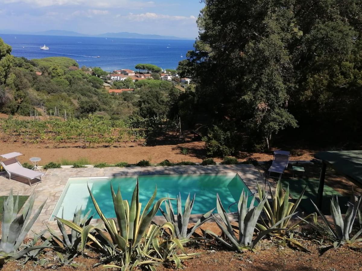 Villa Gualdo Piscina Vista Mare カポリーヴェリ エクステリア 写真